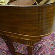 1915 Weber Grand Piano - Grand Pianos